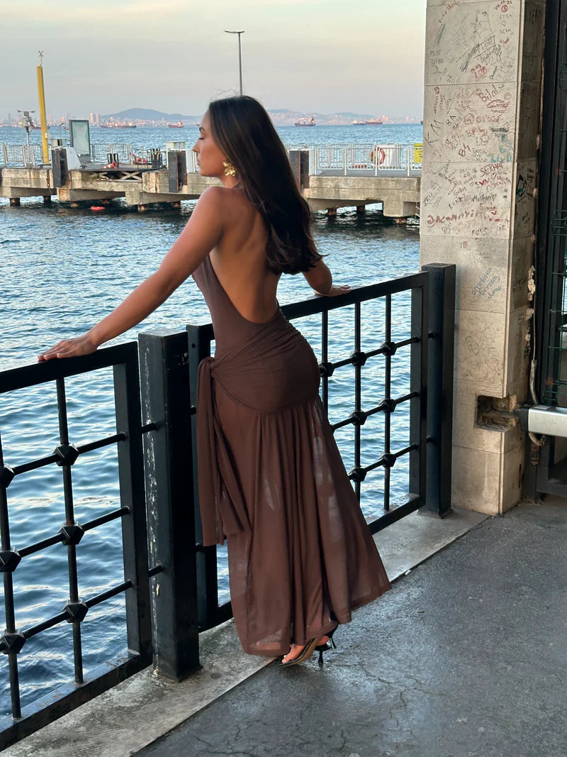 Lulu Souza Yōsei Dress In Brown